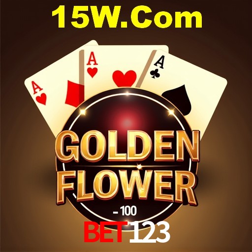 Interface Premium bet123